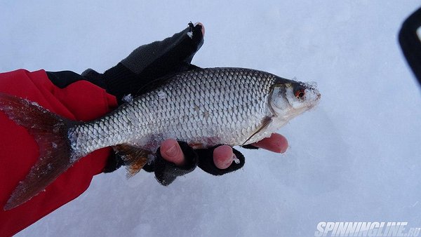 Изображение 1 : Горе-море. "Деревяшка"